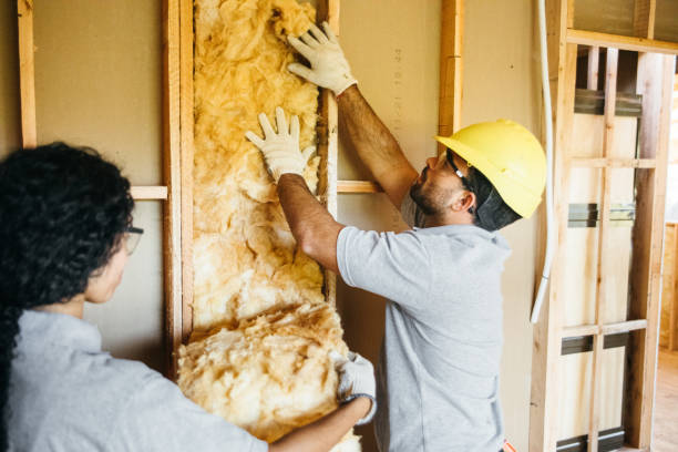 Best Insulation Air Sealing  in Fox Lake, IL