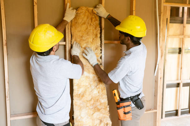 Best Attic Insulation Installation  in Fox Lake, IL